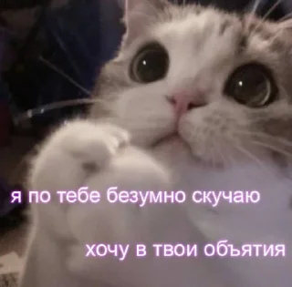 🥺