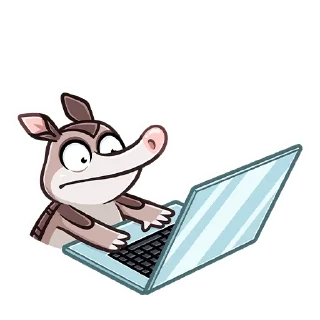 💻
