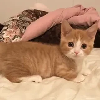 😳
