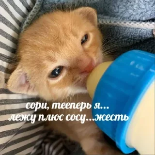 👅