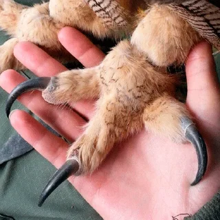 🤝