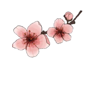 🌸