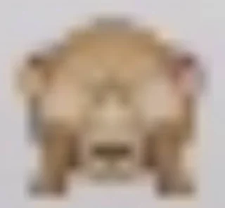 🙈