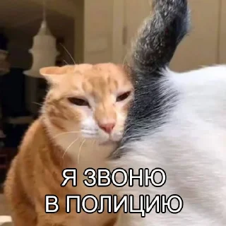 📞