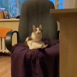😦