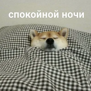 💤