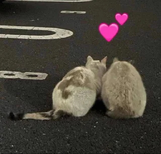 💕