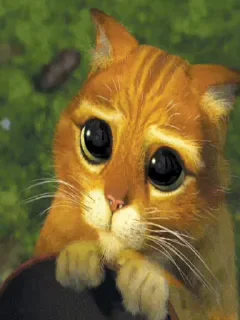 🥺