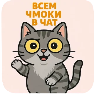 😽