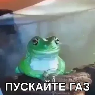 🌚