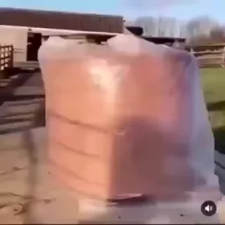 💥