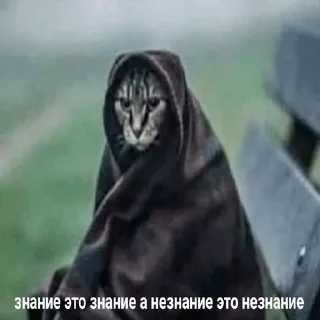👽