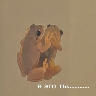 🤭