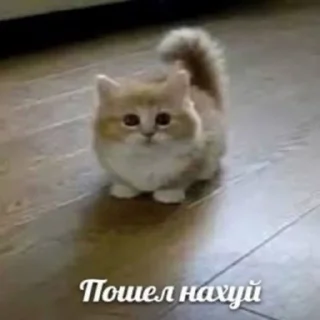😐