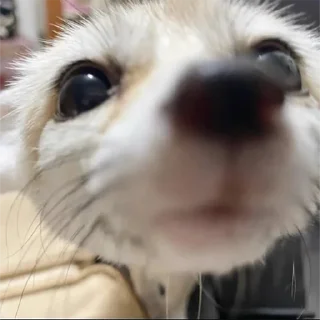 🙂