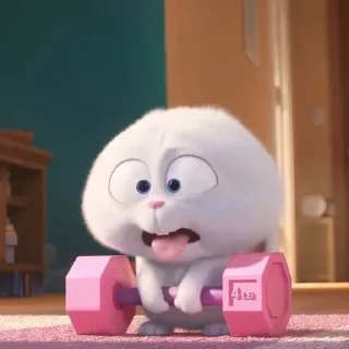 🐰