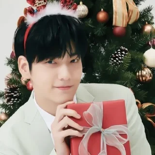 🌟