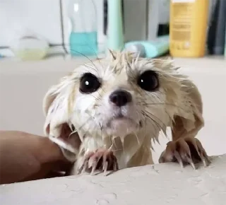 🛁