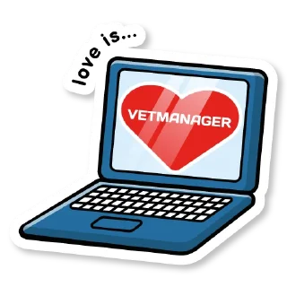 💻