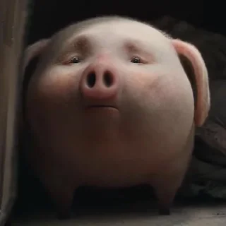 😒