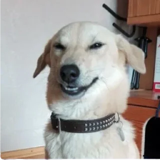 😬
