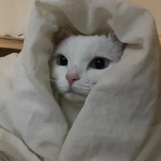 😕