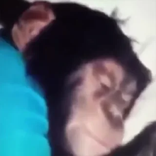 😴