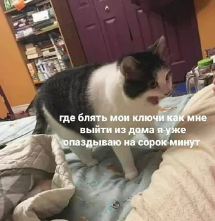 🤬