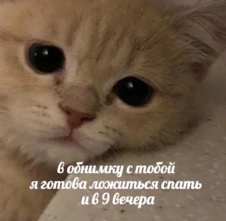 🤍