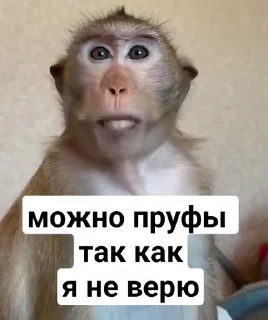 🤩