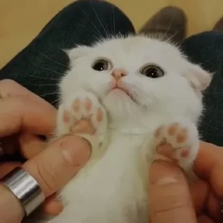 🙂
