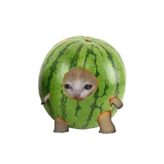 🍈