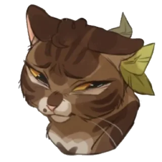 🐱