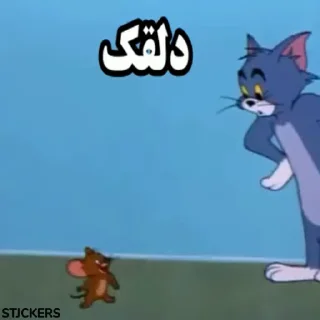 😾