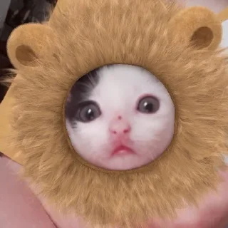 🦁