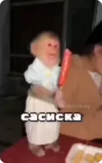 🌭