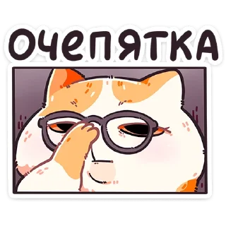 🐱