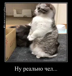 😐