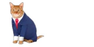 🐈