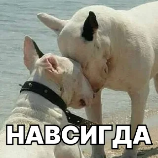 👩‍❤️‍👨