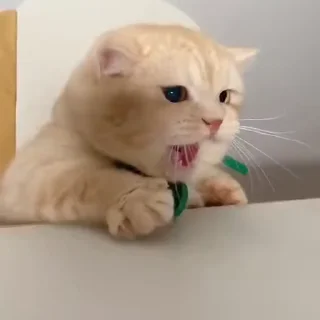 😁