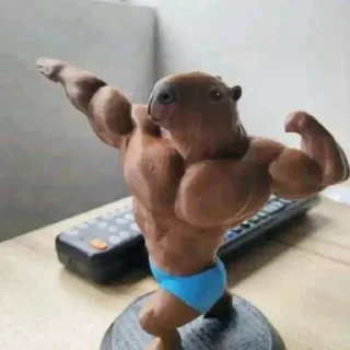 💪