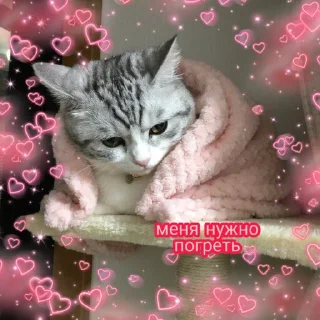 🥶