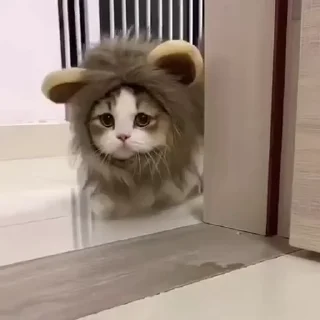 🥺