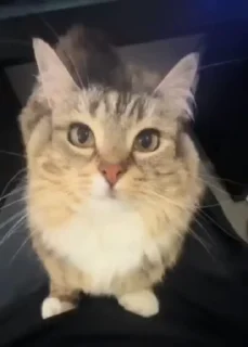 💗