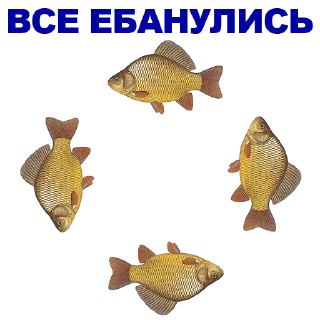 🐠