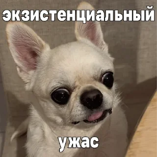 😥
