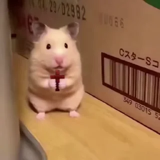 ✝
