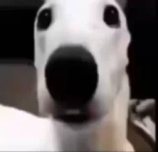 😱