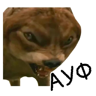🐺